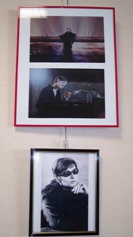 Photos de l'exposition de Cadaujac