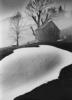 Paysages